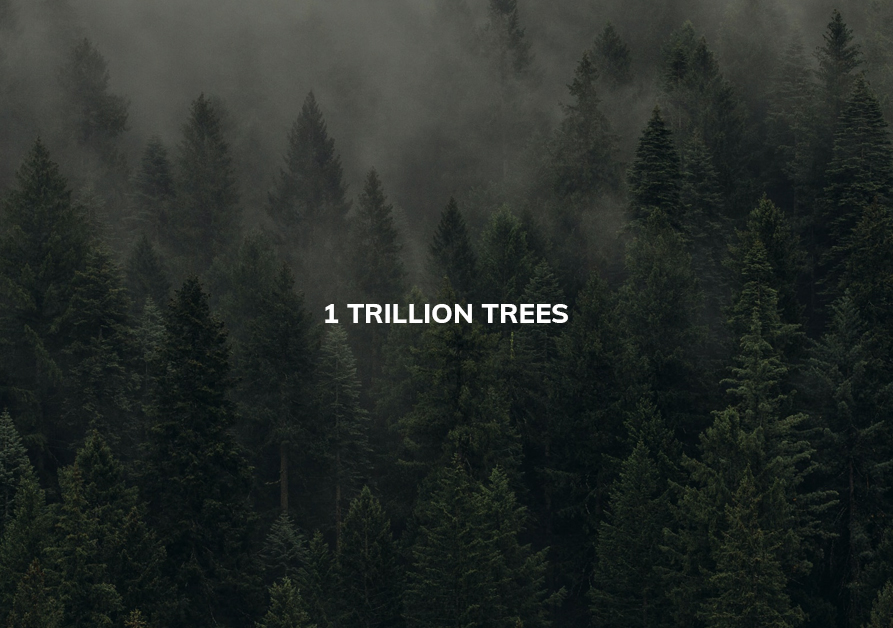 A thumbnail for One Trillion Trees